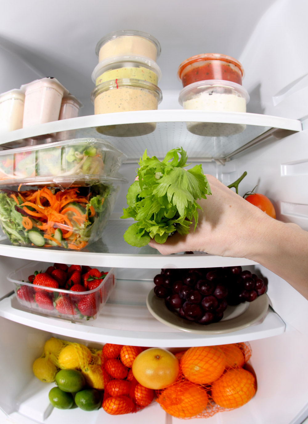 How-to-Maintain-Your-Fridge