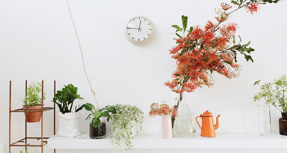 9 Low-Maintenance Indoor Plants That Purify The Air Around You